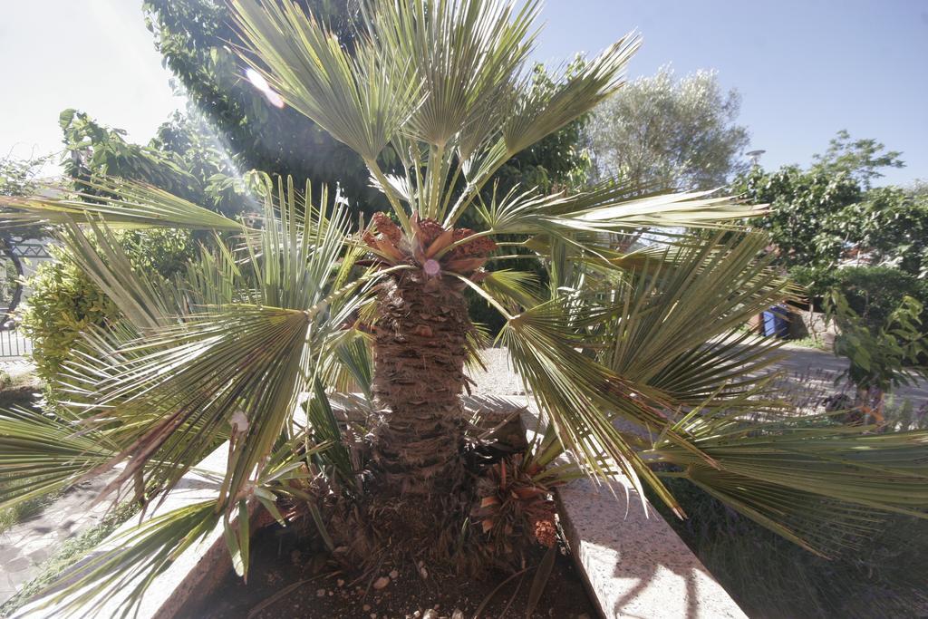 Apartments Karabaic Krk كرك المظهر الخارجي الصورة