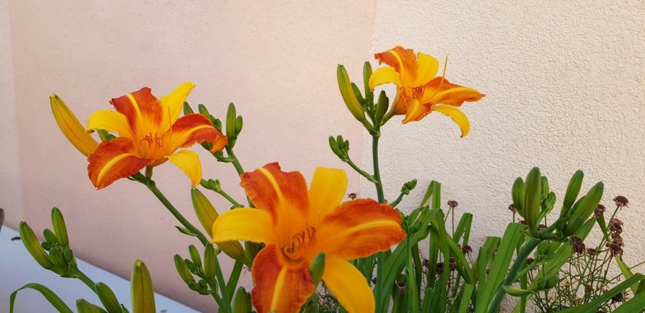 Apartments Karabaic Krk كرك المظهر الخارجي الصورة
